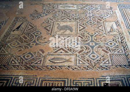 Kourion Cipro Mosaico nella Casa di Eustolios Foto Stock