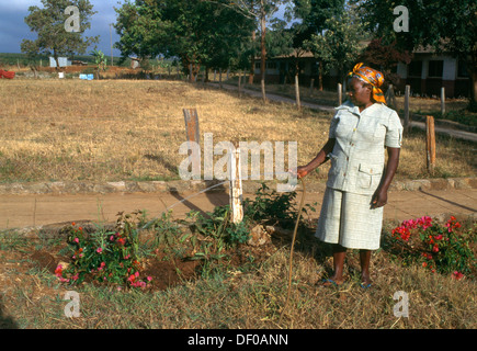 Mangu Village Kenya la signora Wangari Kamande giardini di irrigazione a scuola Foto Stock