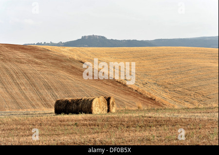 Balle di paglia, raccolte di campi di grano, paesaggio vicino a Radicofani e il Monte Amiata, provincia di Siena e Grosseto, Toscana Foto Stock