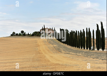 Strada alberata, cipressi e una casa colonica, a sud di Pienza, Toscana, Italia, Europa, PublicGround Foto Stock