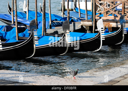 Gondole, Grand Canal, la zona di San Marco, Venezia, Veneto, Italia, Europa Foto Stock