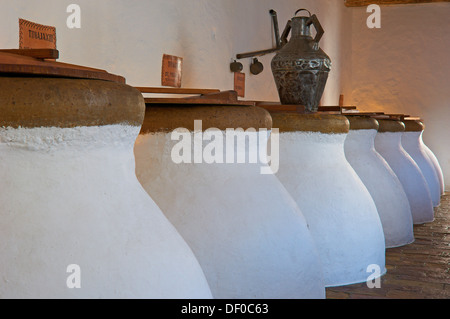 Baena, olio d'oliva cantina. Núñez de Prado, itinerario del califfato, in provincia di Cordoba, Andalusia, Spagna Foto Stock