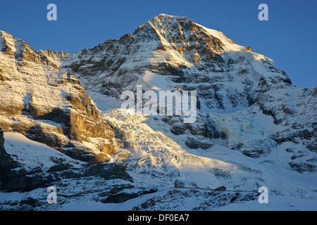 Montare Moench nella luce della sera, Grindelwald, Berner Oberland, cantone di Berna, Svizzera Foto Stock