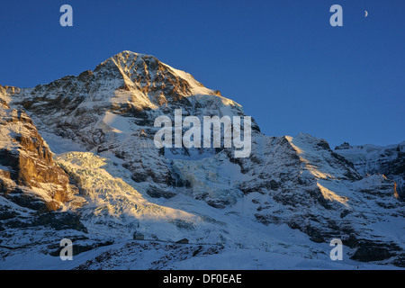 Montare Moench nella luce della sera, Grindelwald, Berner Oberland, cantone di Berna, Svizzera Foto Stock