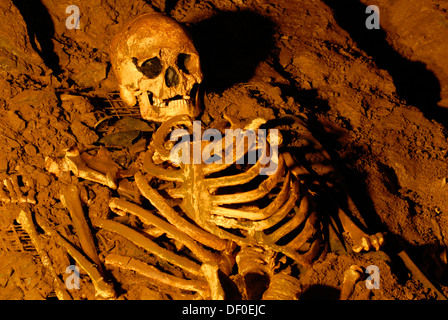 Cranio e lo scheletro dall'età della pietra, Cheddar uomo Museo di Preistoria, Cheddar, Somerset, Inghilterra, Regno Unito, Europa Foto Stock