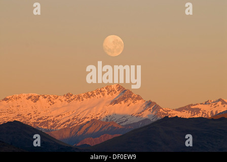 L'impostazione luna sopra il alpenglow sulle cime delle Alpi del Sud visto da il Remarkables, Isola del Sud, Nuova Zelanda Foto Stock