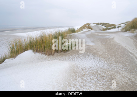 Dune in inverno, Langeoog, Est Isole Frisone, Frisia orientale, Bassa Sassonia, Germania Foto Stock