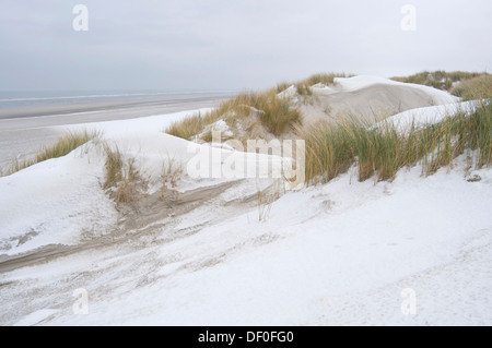 Dune in inverno, Langeoog, Est Isole Frisone, Frisia orientale, Bassa Sassonia, Germania Foto Stock