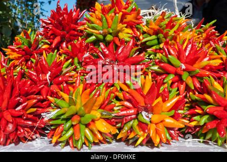 Peperoncino tabelle di linea presso il Mercato degli Agricoltori a Santa Fe. Foto Stock