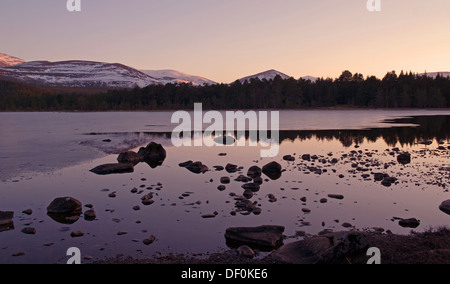 Calma sera d'inverno, Loch Morlich vicino a Aviemore, Glenmore Forest Park, Cairngorms National Park, Highlands scozzesi, Scotland Regno Unito Foto Stock