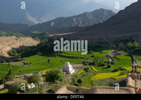 Vista da Likir Gompa su un irrigato valley, Likir, (Ladakh) Jammu e Kashmir India Foto Stock