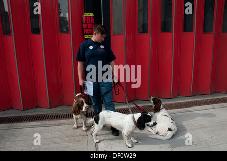 Vigili del fuoco sciopero da 12-4pm in una protesta contro le minacce alla loro pensioni. Sophie, pompiere, sulla linea di picchetto con i suoi cani Foto Stock