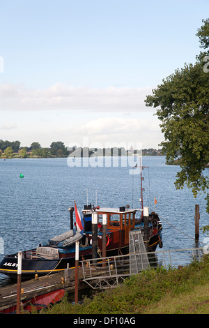 Rimorchiatore ormeggiato sul fiume Mosa vicino Nederhemert, Gelderland, Paesi Bassi Foto Stock