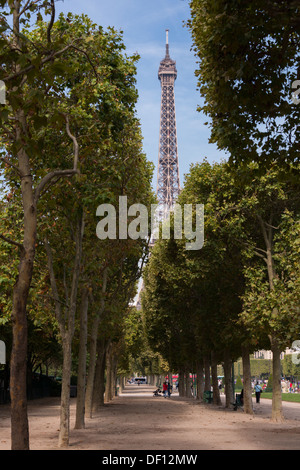Tour Eiffel visto attraverso una classica linea francese di alberi, e con gli Champs de Mars, Parigi, Francia Foto Stock