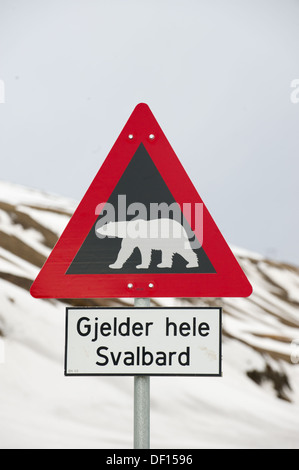 Orso polare in segno di avvertimento, Longyearbyen, Spitsbergen, arcipelago delle Svalbard, Norvegia Foto Stock