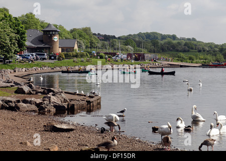 Castello Semple Loch in Muirshiel Parco Regionale, Lochwinnoch, Renfrewshire, Scotland, Regno Unito Foto Stock