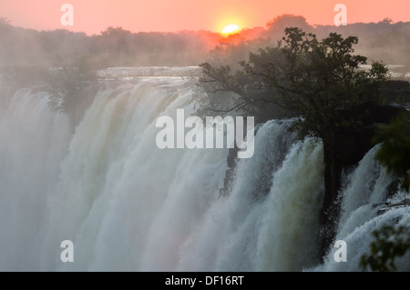 Retroilluminazione Sun spray in cima Victoria Falls al tramonto, Livingstone, Zambia Foto Stock