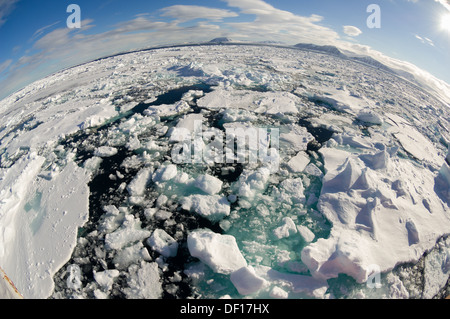 Fisheye colpo di punteruolo flottante ghiaccio formatosi nel pack di ghiaccio da un icebreaker Expedition nave, Freemansundet (tra Barentsøya e Edgeøya), arcipelago delle Svalbard, Norvegia Foto Stock