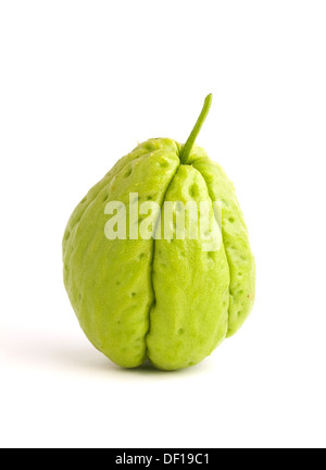 Uno Chayote isolati su sfondo bianco Foto Stock