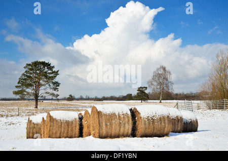 Campo con le balle di paglia in inverno in Germania Foto Stock