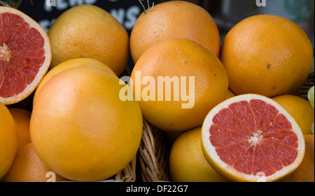 Citrus paradisi pompelmo sul display Foto Stock