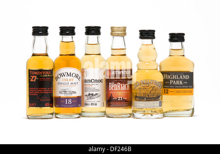 Selezione di whisky in miniatura bottiglie Foto Stock
