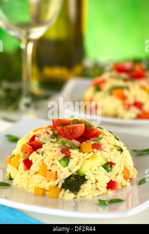 I risotti di verdure farcite con pomodoro ciliegino e scalogno (messa a fuoco selettiva, messa a fuoco sulla parte anteriore del pomodoro ciliegino sulla parte superiore) Foto Stock