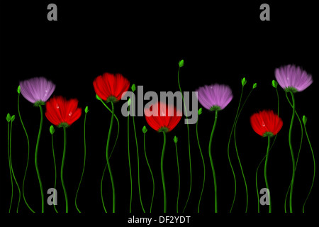 Rosso e fiori di colore rosa su sfondo nero. Disegno di arte digitale. Foto Stock