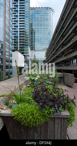 Scatola di legno contenitore della piantatrice con piante da giardino presso il Barbican estate circondata da edifici per uffici & Citypoint Londra Inghilterra KATHY DEWITT Foto Stock