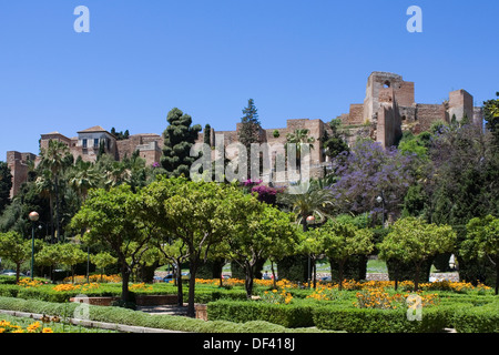 Spagna, Andalusia, Malaga, Alcazaba fortezza moresca Foto Stock