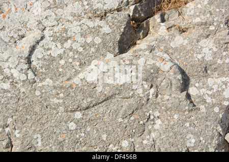 SANTORINI (THIRA), cicladi grecia. Rock carving di un delfino presso il Santuario di Artemidoros nell Antica Thera. Foto Stock