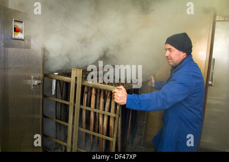 Severn & wye smokery,dove le anguille sono allevati da anguille,restituito al fiume Severn,catturati come adulti e affumicato per cibo.un pesce del Regno Unito Foto Stock