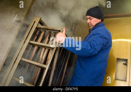 Severn & wye smokery,dove le anguille sono allevati da anguille,restituito al fiume Severn,catturati come adulti e affumicato per cibo.un pesce del Regno Unito Foto Stock