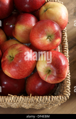 Rosso brillante scoperta mele appena raccolto Foto Stock