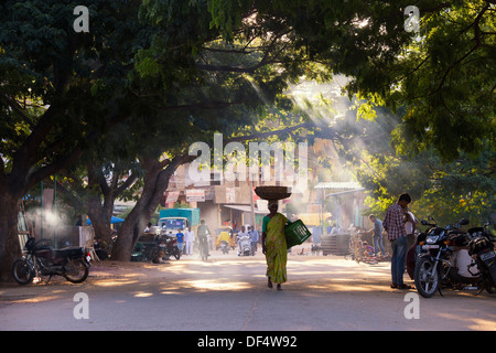 Donna indiana che trasportano un cestello sulla sua testa attraverso un tunnel di alberi. Puttaparthi, Andhra Pradesh, India Foto Stock