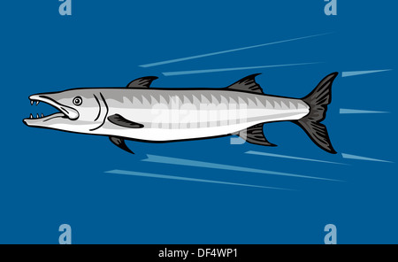 Illustrazione di un barracuda fatto in uno stile retrò in un isolato sfondo. Foto Stock