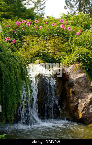 Cascata presso il Chicago Botanic Garden in Glencoe, Illinois Foto Stock