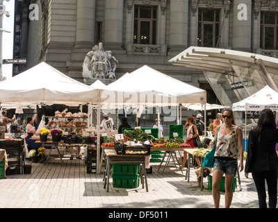 Mercato di Agricoltori, Bowling Green, NEW YORK , USA Foto Stock