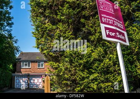 Proprietà (real estate) in vendita segno, di fronte a una grande conifera, con casa in background, in Banstead, Surrey, Inghilterra, Regno Unito. Foto Stock