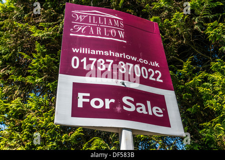 Proprietà (real estate) in vendita segno, di fronte a una grande conifera albero, in Banstead, Surrey, Inghilterra, Regno Unito. Foto Stock