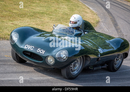 L'originale 1954 Jaguar D-digitare prototipo al 2013 Goodwood Festival of Speed, Sussex, Regno Unito. Foto Stock