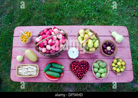 Tavolo in legno nel giardino con frutta e verdura in vari piastra e cesti. Di fine estate il concetto di raccolto Foto Stock