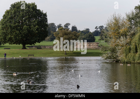 Verulamium Park st albans herts Inghilterra Foto Stock