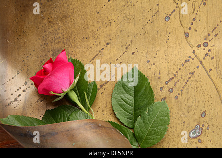 Abstract design floreale con rose su sfondo bronzo Foto Stock