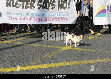 Dublino, Irlanda. Il 28 settembre 2013. Un piccolo cane conduce il Dublin Pro-Choice marcia di protesta.Pro-Choice attivisti hanno marciato attraverso Dublino, chiamando per un nuovo referendum sull'aborto, per consentire l'aborto in Irlanda per tutte le donne. La marcia di protesta è stata parte della giornata di azione globale per la sicurezza giuridica e l'aborto, che si svolge in tutto il mondo. Credito: Michael Debets/Alamy Live News Foto Stock