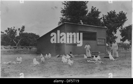 Le donne indiane polli di alimentazione nella parte anteriore del pollo casa a Springfield, South Dakota, Indian School. 285795 Foto Stock