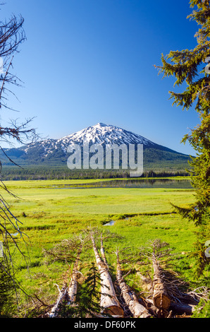 Mount Bachelor come visto attraverso una radura di Alberi vicino a Bend, Oregon Foto Stock