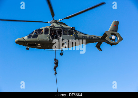 La polizia SWAT team, fast roping da un elicottero della polizia. Foto Stock