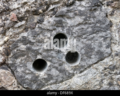Geologia carota trapanare i fori nel budino di conglomerato di pietra rock, Boreraig, Isola di Skye, Scotland, Regno Unito Foto Stock