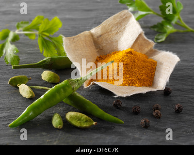 Verde fresco peperoncini birdseye con curcuma in polvere e le foglie di coriandolo spezie indiane composto disposizione Foto Stock